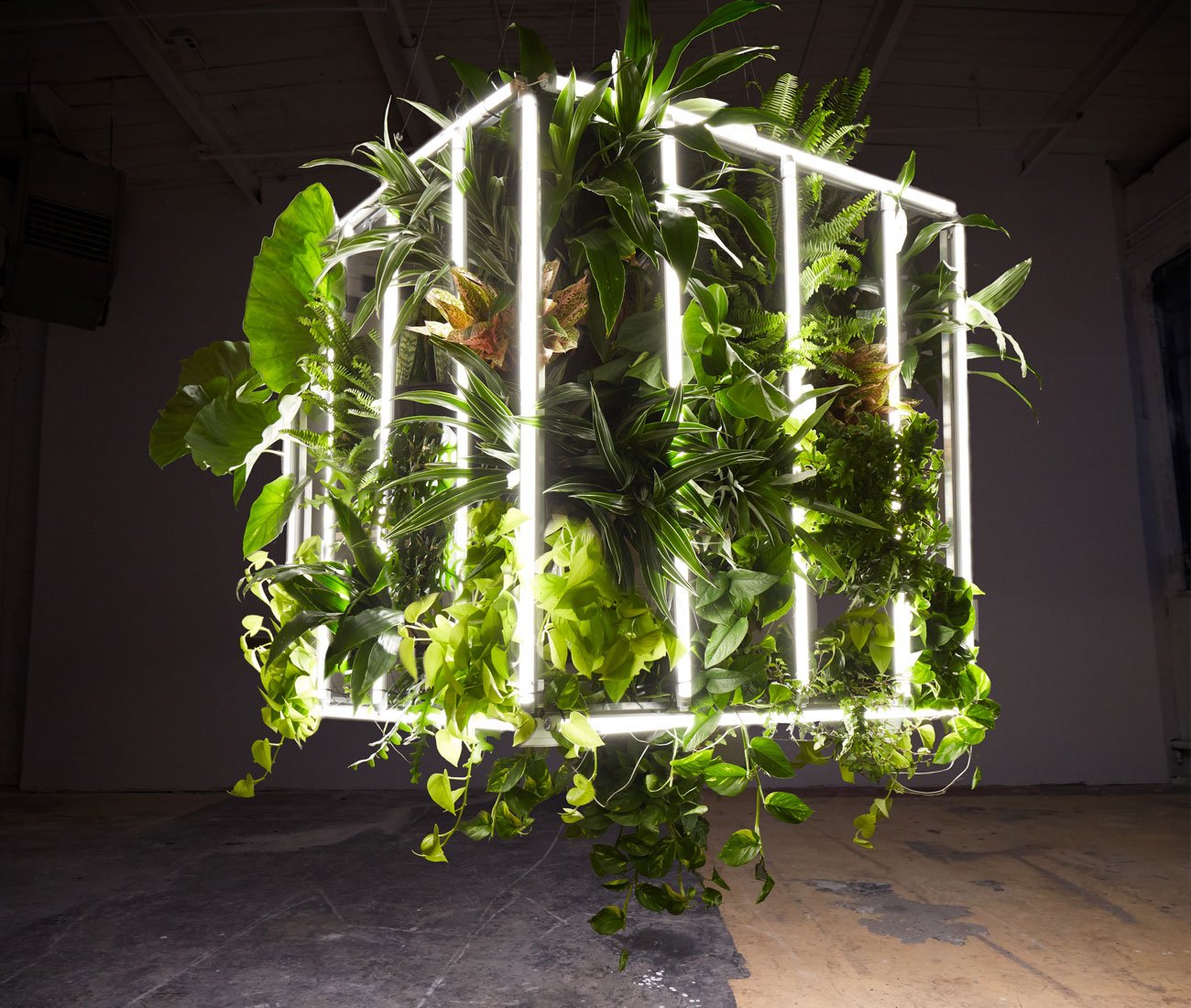 Luvere Studio's living light installation.