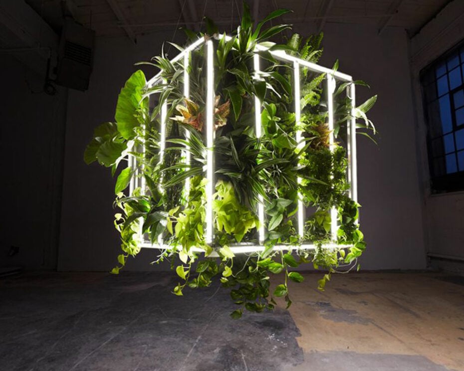 Luvere Studio's living light installation.