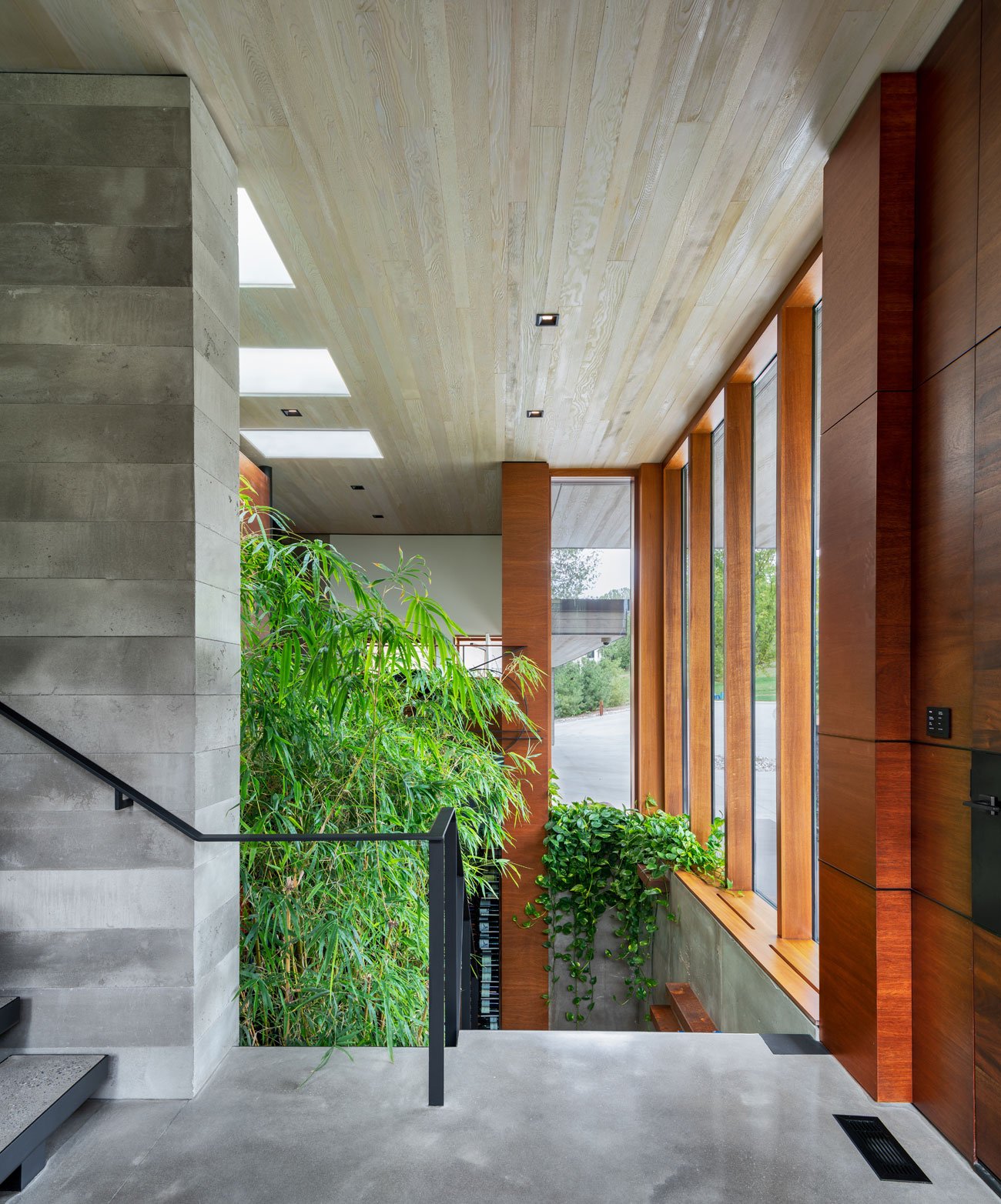 Bamboo trees indoor garden visible from a house split-level